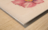 Watercolor Flower Minimalism PNG 28 Wood print