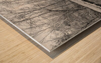 Stone Arched Bridge Reflections Grayscale Wood print