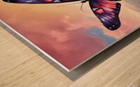 200223 beatutiful butterfly with prety colorslsun Wood print