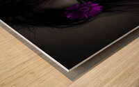 Gerbera Gaze Wood print