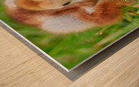 Sandhill Crane Gets the Worm Wood print