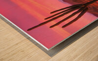 american landscapes southwest desert art Wood print