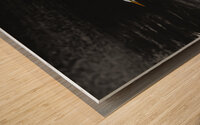 BZ9 2199 Wood print