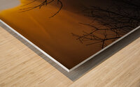BZ9 5224 Enhanced NR Wood print