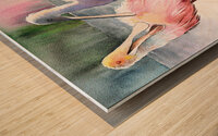 Spoonbills in Florida Wood print